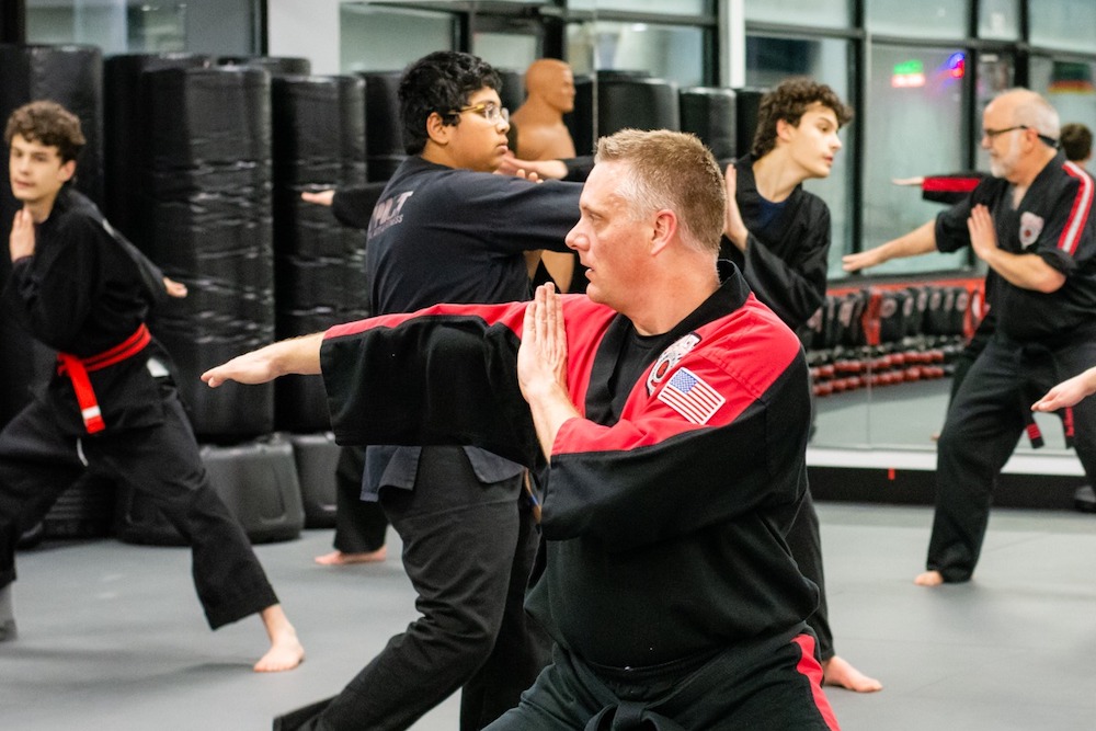 Adult Martial Arts training in Manlius
